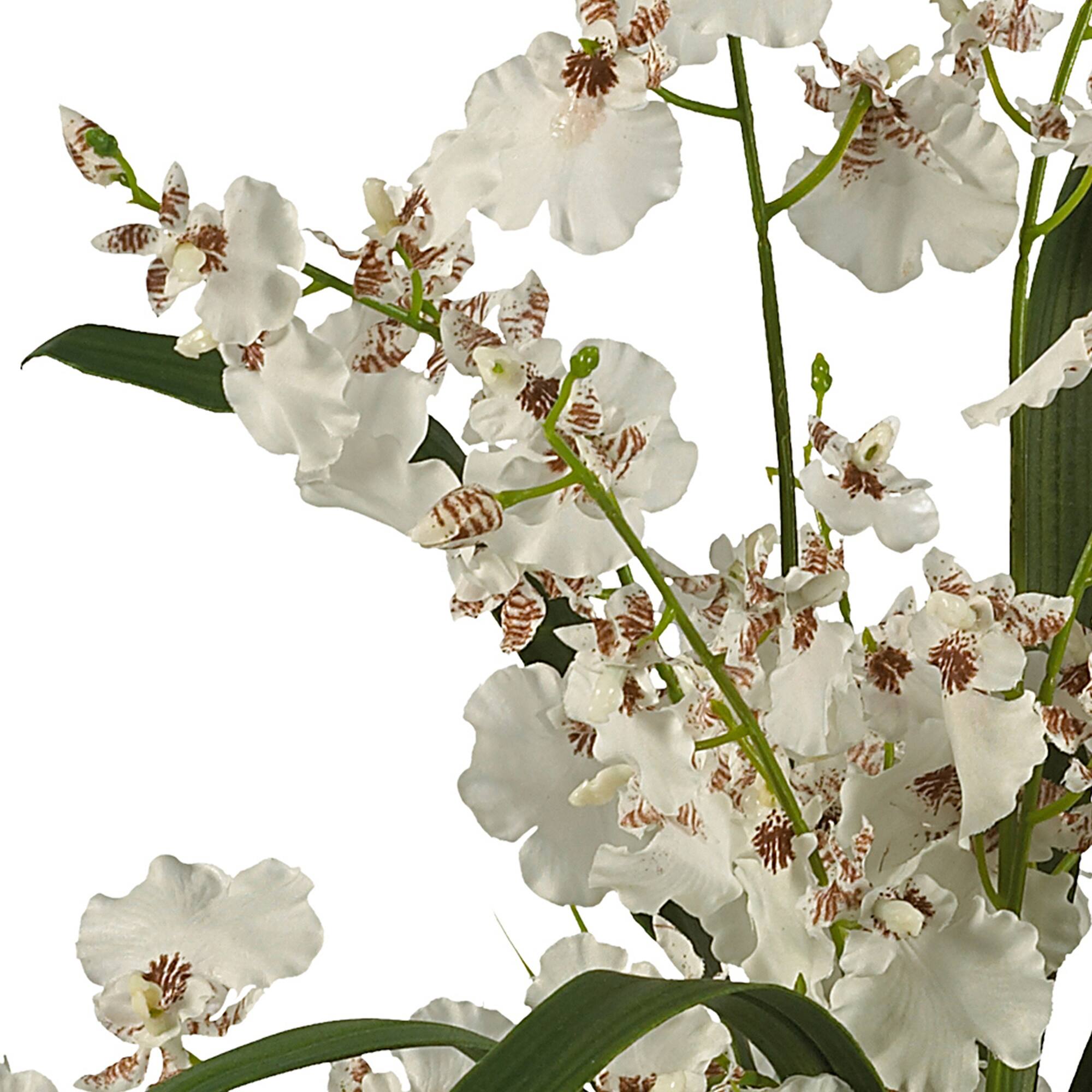 19" White Dancing Lady Orchid Arrangement in Vase